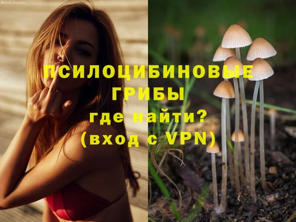 МДПВ Калининец