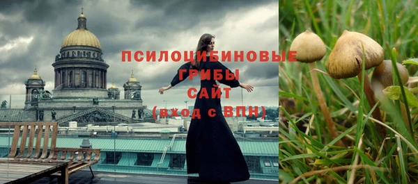 МДПВ Калининец
