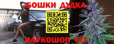 гидра Беслан