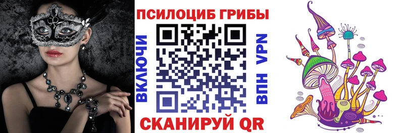 Псилоцибиновые грибы Magic Shrooms  хочу   MEGA как зайти  Бердск 