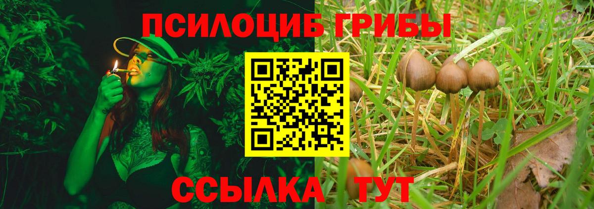 Галлюциногенные грибы MAGIC MUSHROOMS Бердск