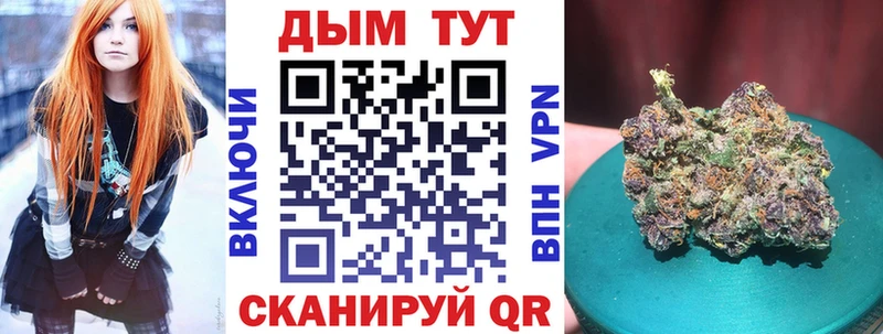 магазин продажи Бердск МАРИХУАНА SATIVA & INDICA