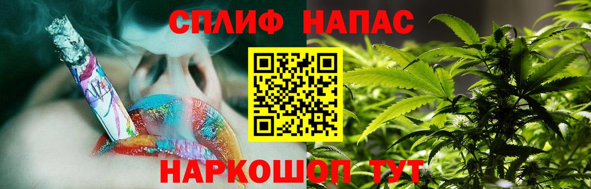Бошки Шишки ГИДРОПОН  Бошки Шишки план  Каннабис Amnesia  Бердск  Марихуана White Widow 